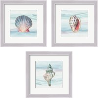 Framed Ocean Dream no Filigree 3 Piece Framed Art Print Set