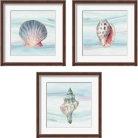 Framed Ocean Dream no Filigree 3 Piece Framed Art Print Set