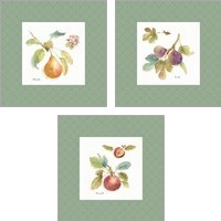Framed 'Orchard Bloom Border 3 Piece Art Print Set' border=