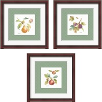 Framed 'Orchard Bloom Border 3 Piece Framed Art Print Set' border=