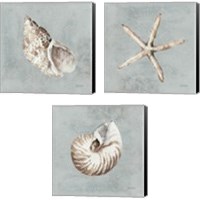 Framed Sand and Seashells  3 Piece Canvas Print Set