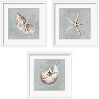 Framed Sand and Seashells  3 Piece Framed Art Print Set
