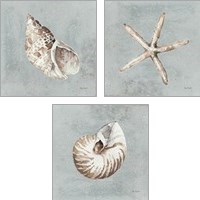 Framed Sand and Seashells  3 Piece Art Print Set