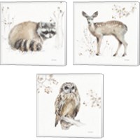 Framed 'Woodland Walk 3 Piece Canvas Print Set' border=