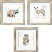 Framed Woodland Walk 3 Piece Framed Art Print Set