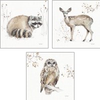 Framed 'Woodland Walk 3 Piece Art Print Set' border=