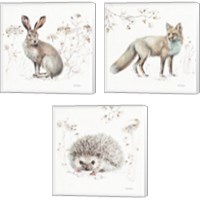 Framed 'Woodland Walk 3 Piece Canvas Print Set' border=