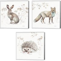 Framed 'Woodland Walk 3 Piece Canvas Print Set' border=