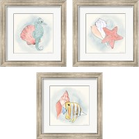 Framed Sea Life 3 Piece Framed Art Print Set