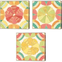 Framed 'Citrus Splash 3 Piece Canvas Print Set' border=