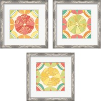 Framed Citrus Splash 3 Piece Framed Art Print Set