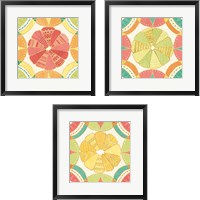 Framed Citrus Splash 3 Piece Framed Art Print Set