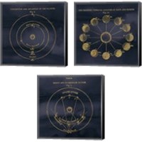 Framed Geography of the Heavens Blue Gold 3 Piece Canvas Print Set