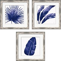 Framed 'Welcome to Paradise Indigo 3 Piece Framed Art Print Set' border=