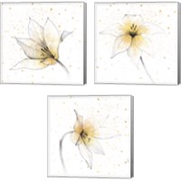 Framed 'Gilded Graphite Floral 3 Piece Canvas Print Set' border=