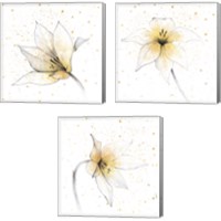 Framed Gilded Graphite Floral 3 Piece Canvas Print Set