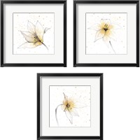 Framed 'Gilded Graphite Floral 3 Piece Framed Art Print Set' border=