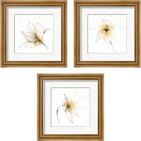 Framed Gilded Graphite Floral 3 Piece Framed Art Print Set