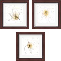 Framed 'Gilded Graphite Floral 3 Piece Framed Art Print Set' border=