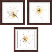 Framed Gilded Graphite Floral 3 Piece Framed Art Print Set