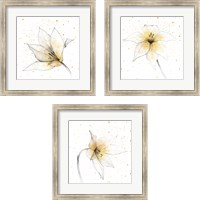 Framed Gilded Graphite Floral 3 Piece Framed Art Print Set