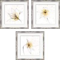 Framed Gilded Graphite Floral 3 Piece Framed Art Print Set