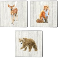 Framed 'Into the Woods  3 Piece Canvas Print Set' border=