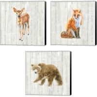Framed 'Into the Woods  3 Piece Canvas Print Set' border=