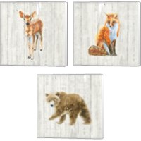 Framed Into the Woods  3 Piece Canvas Print Set