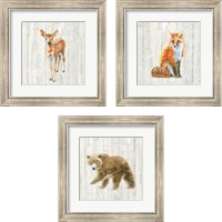 Framed 'Into the Woods  3 Piece Framed Art Print Set' border=