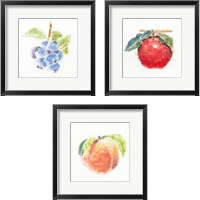 Framed 'Garden Delight 3 Piece Framed Art Print Set' border=