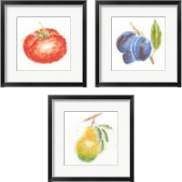 Framed 'Garden Delight 3 Piece Framed Art Print Set' border=