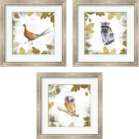 Framed 'Into the Woods 3 Piece Framed Art Print Set' border=