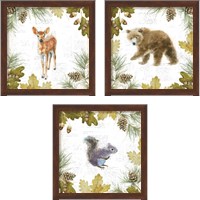 Framed 'Into the Woods 3 Piece Framed Art Print Set' border=