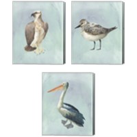 Framed 'Watercolor Beach Bird 3 Piece Canvas Print Set' border=