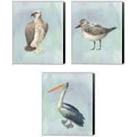 Framed Watercolor Beach Bird 3 Piece Canvas Print Set
