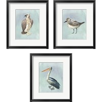 Framed Watercolor Beach Bird 3 Piece Framed Art Print Set