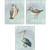 Framed Watercolor Beach Bird 3 Piece Art Print Set