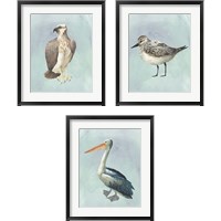 Framed Watercolor Beach Bird 3 Piece Framed Art Print Set