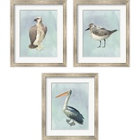 Framed Watercolor Beach Bird 3 Piece Framed Art Print Set