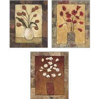 Framed Blooms in Border 3 Piece Art Print Set