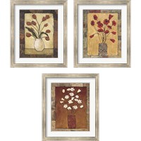 Framed Blooms in Border 3 Piece Framed Art Print Set