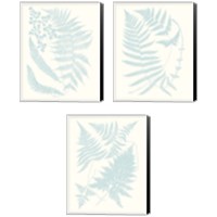 Framed Serene Ferns 3 Piece Canvas Print Set