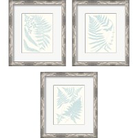 Framed 'Serene Ferns 3 Piece Framed Art Print Set' border=