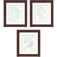 Framed 'Serene Ferns 3 Piece Framed Art Print Set' border=