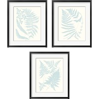 Framed Serene Ferns 3 Piece Framed Art Print Set