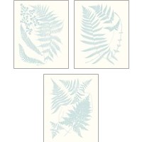Framed 'Serene Ferns 3 Piece Art Print Set' border=