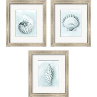 Framed 'Coastal Shell Schematic 3 Piece Framed Art Print Set' border=