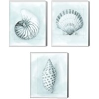 Framed 'Coastal Shell Schematic 3 Piece Canvas Print Set' border=