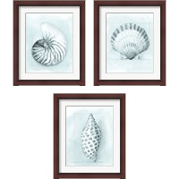 Framed Coastal Shell Schematic 3 Piece Framed Art Print Set